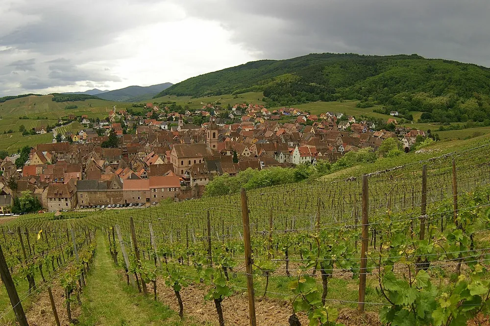 Alsace i autocamper: Vinruten fra Strasbourg til Colmar