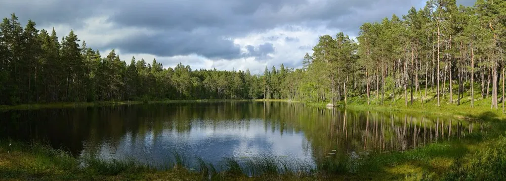 Fricamping i Sverige med autocamper – sådan fungerer allemandsretten i praksis