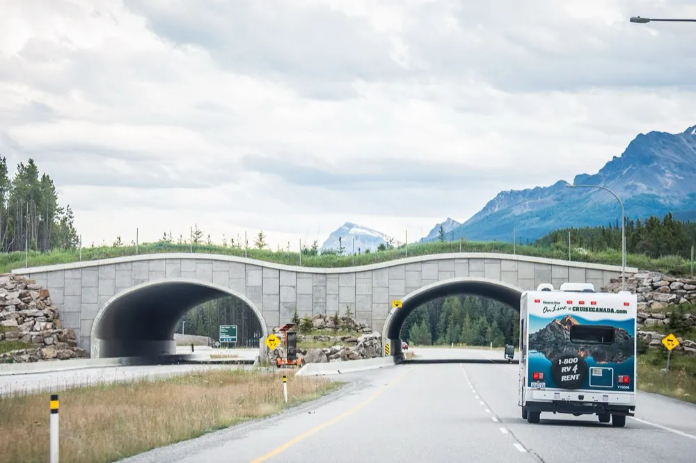 Leje autocamper: Hvad skal man vide – og hvornår betaler køb sig?