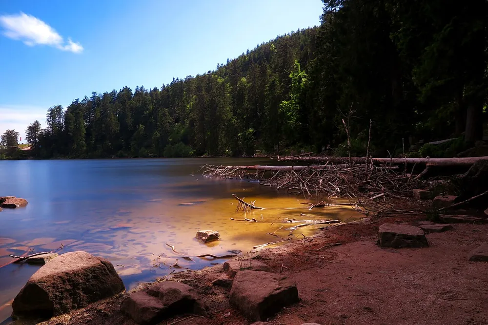 Mummelsee ved Schwarzwaldhochstrasse omgivet af granskov