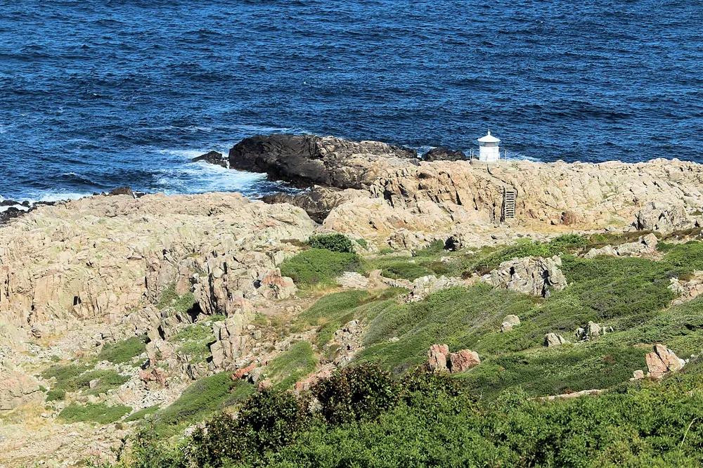 Skåne i autocamper: Fra Øresundsbroen til Österlen og Kullaberg